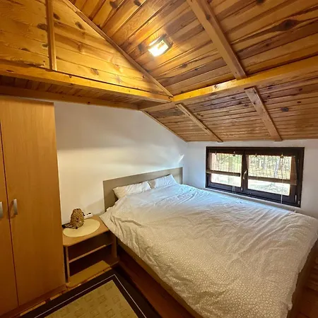 Micic 3 * Divčibare